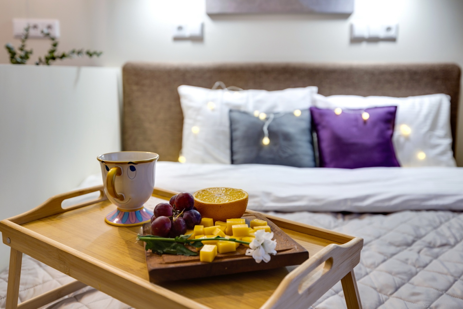 Сага studio от Home24