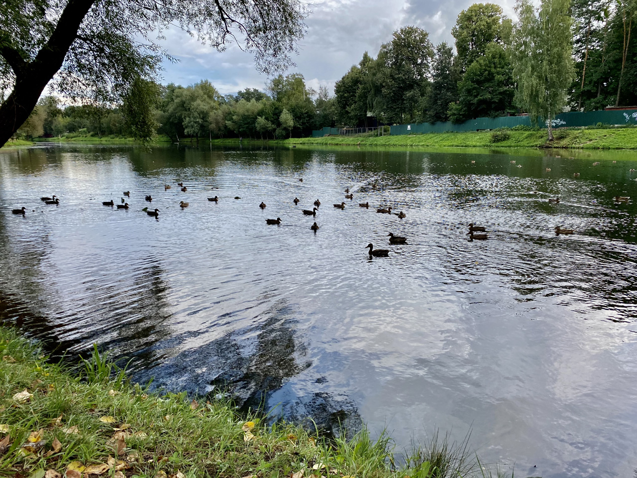 Ультрасовременный домик для отдыха вдвоем с сауной, мангальной зоной и купелью на берегу Немчиновского пруда!
