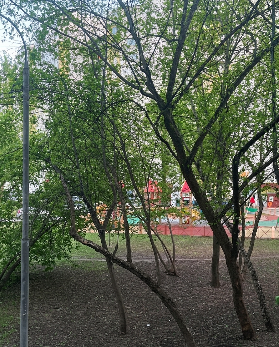 Сдается студия, 37 м²
