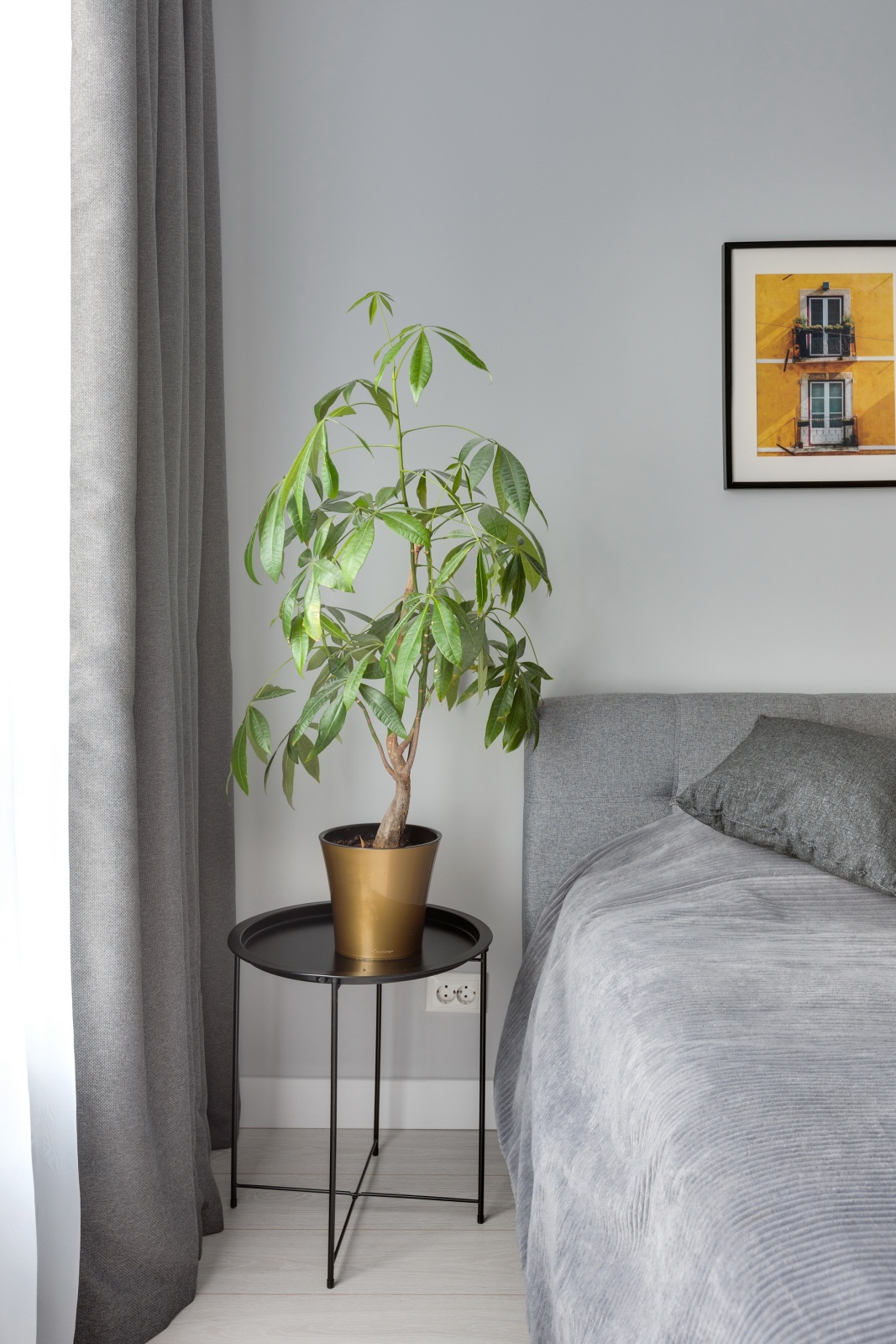 Апартаменты Рим от Home24