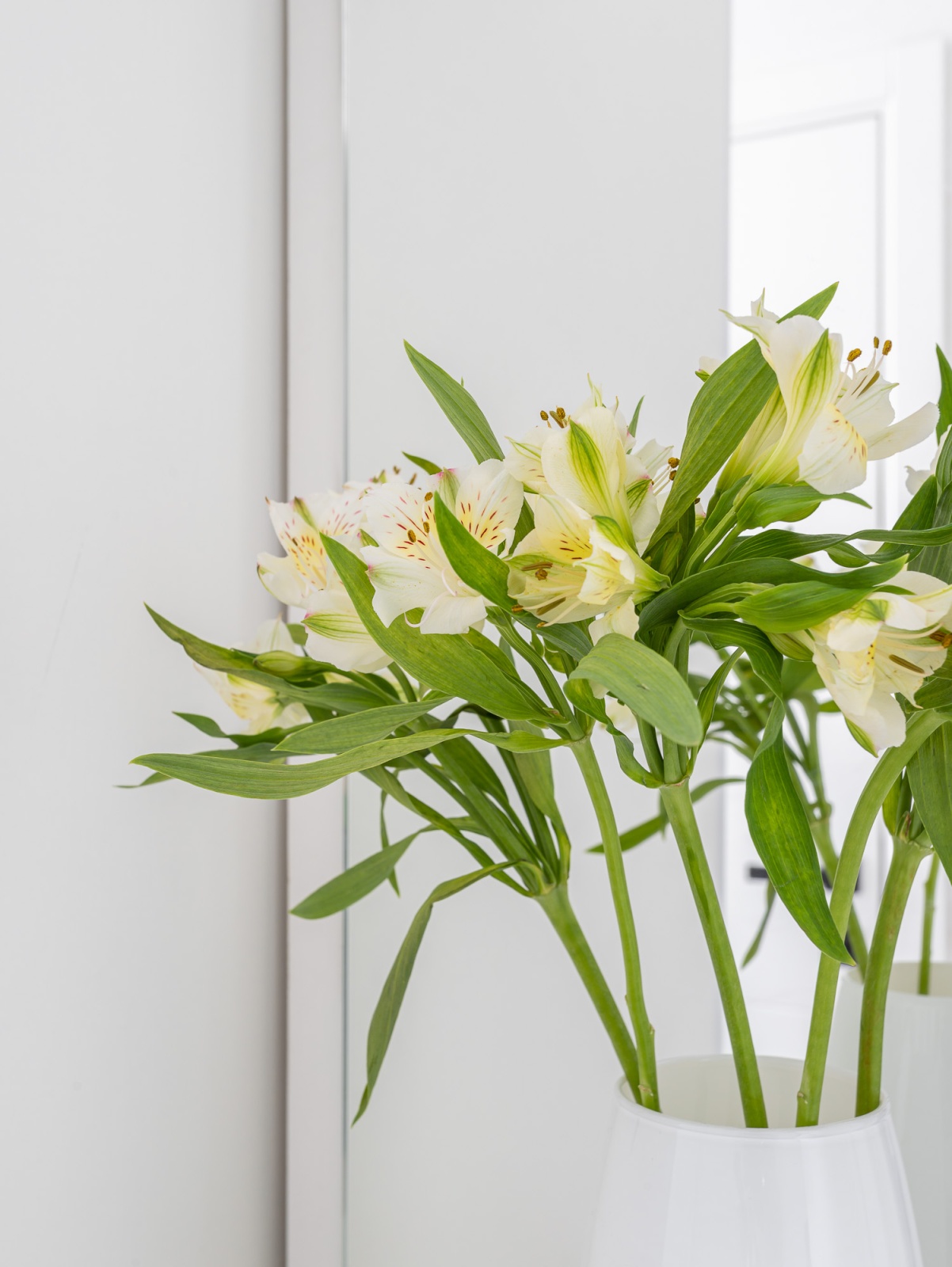 Студия в доме Бизнес класса