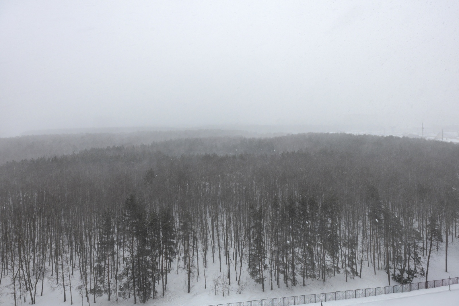 Артледи от Home24