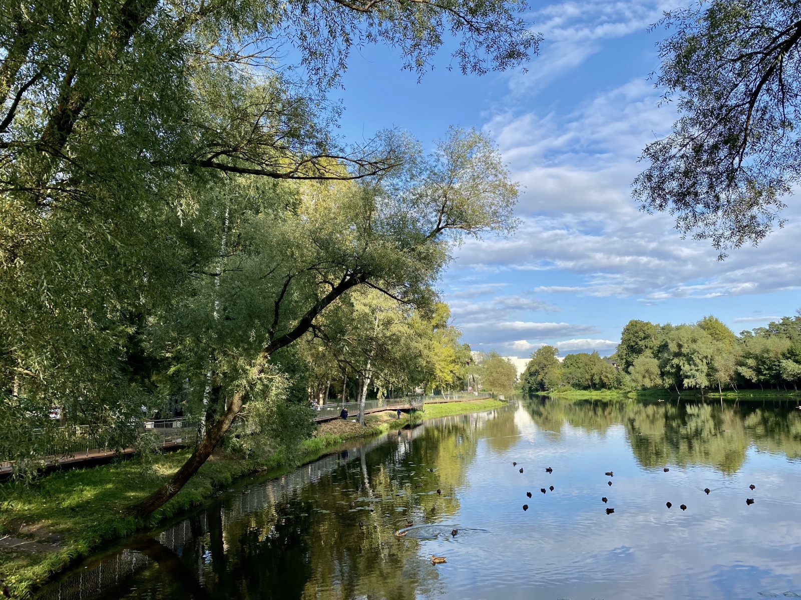 Ультрасовременный домик для отдыха вдвоем с сауной, мангальной зоной и купелью на берегу Немчиновского пруда!